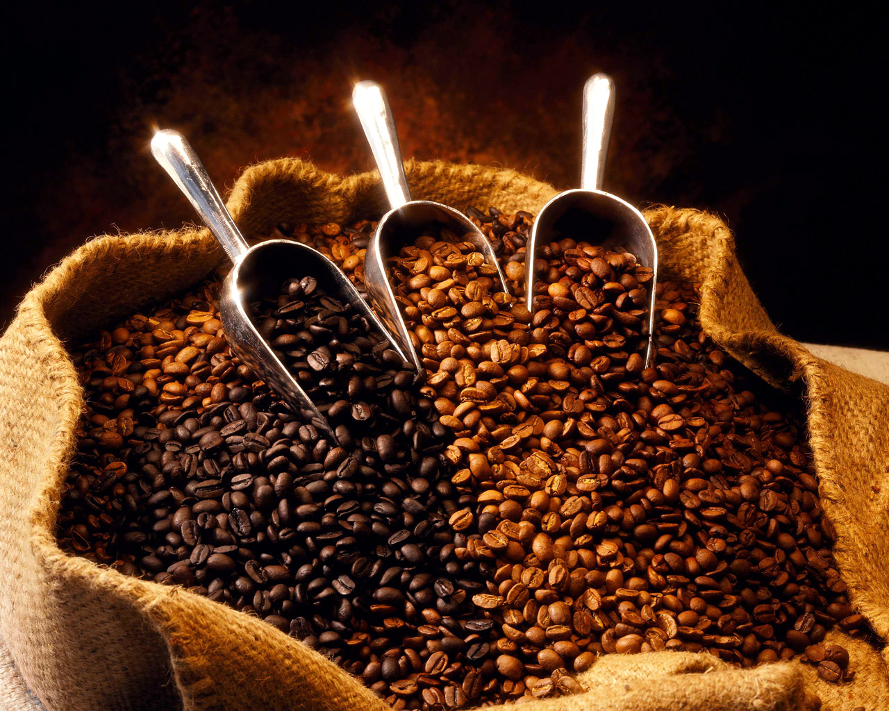 Resultado de imagem para cultivo de cafe